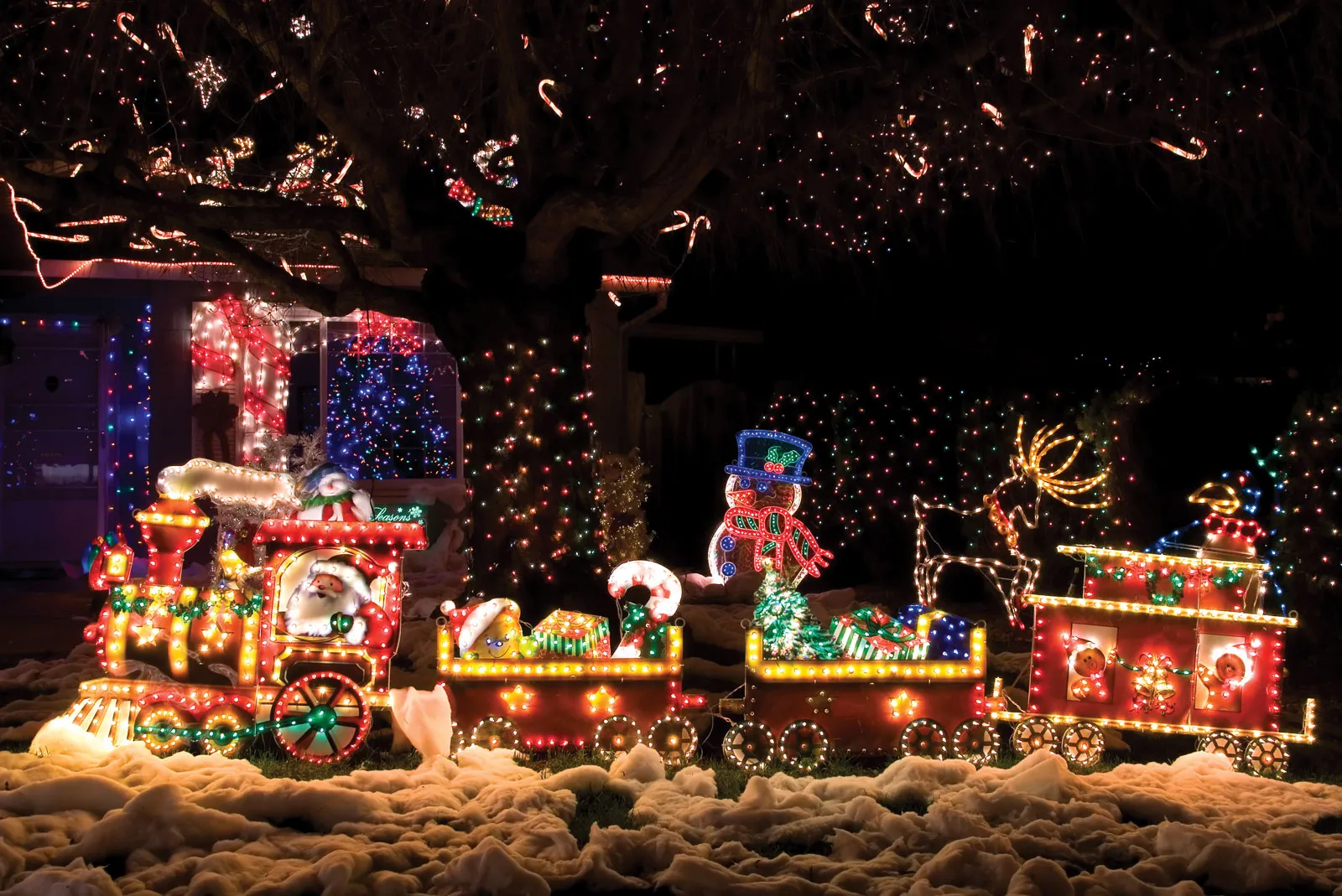 Chrismas celebrate christmas