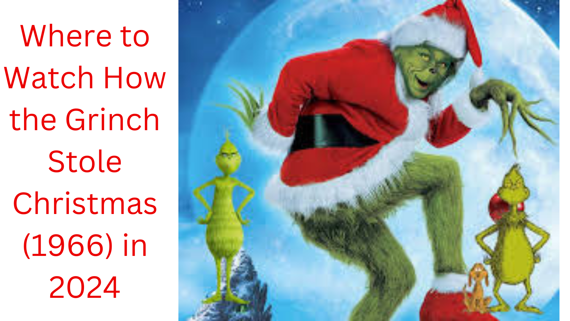 where to watch How the Grinch stole Christmas in (1964)  2024