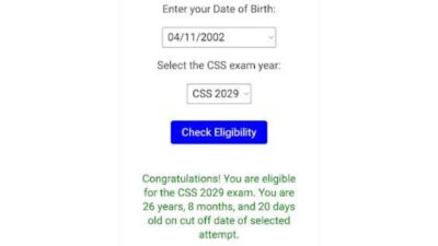 CSS age calculator