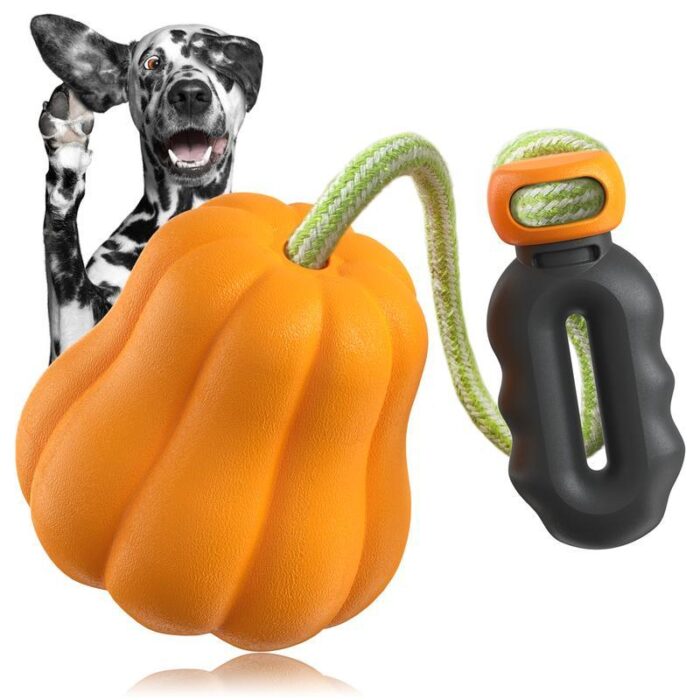 Dog Rope Fetch Toy