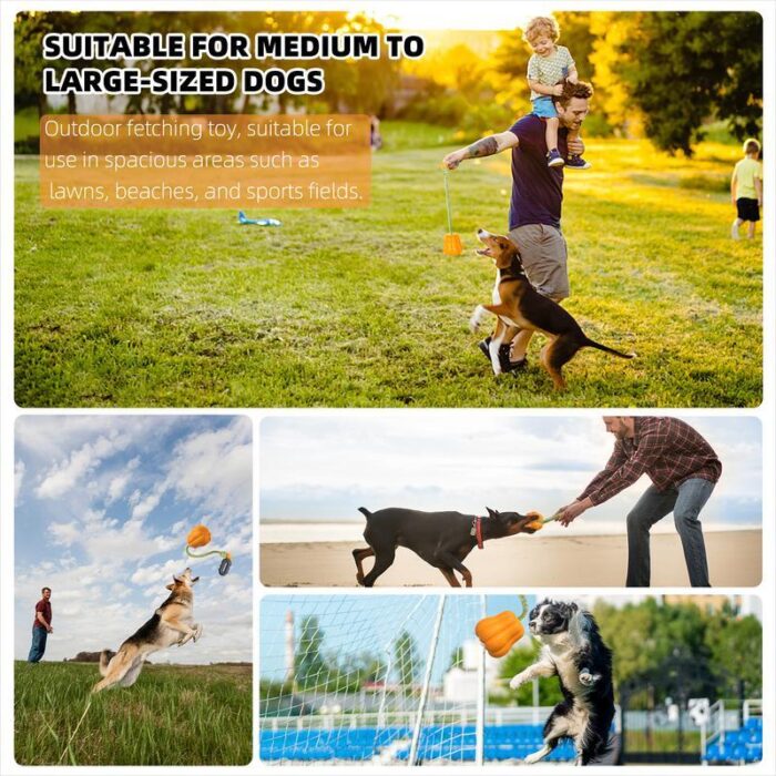 Dog Rope Fetch Toy