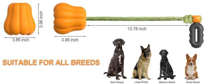 Dog Rope Fetch Toy