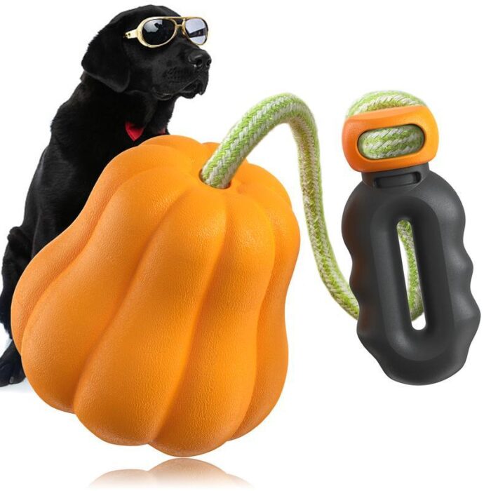Dog Rope Fetch Toy