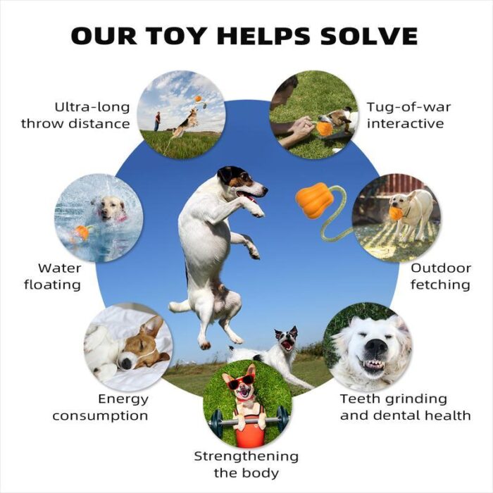 Dog Rope Fetch Toy